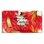 Florinda, Cactus, Vegan, Cleansing & Hydrating, Scented Soap Bar , 100 g
