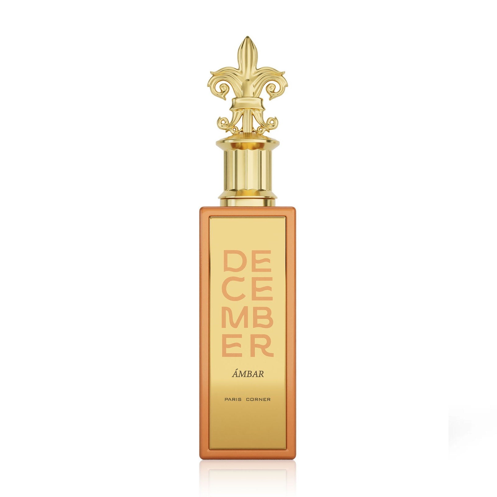 Paris Corner, December Ambar, Eau De Parfum, Unisex, 100 ml