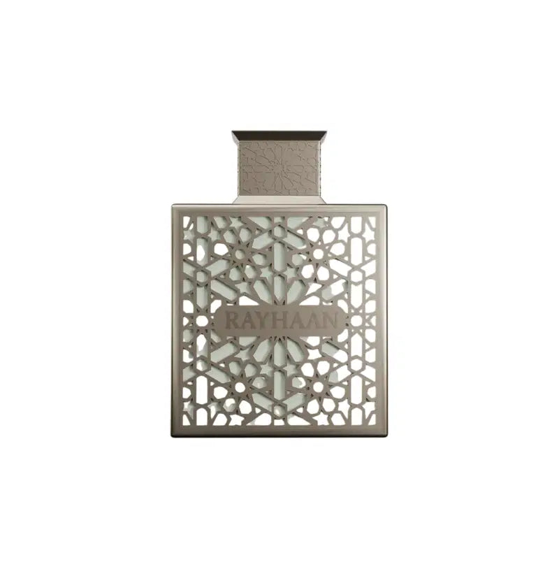 Rayhaan, Terra, Eau De Parfum, For Men, 100 ml